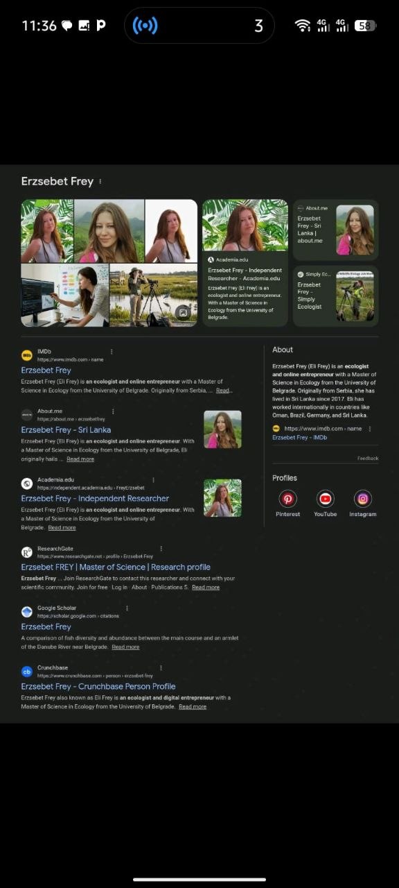 QUADVERTEX AGENCY portfolio sample 14
